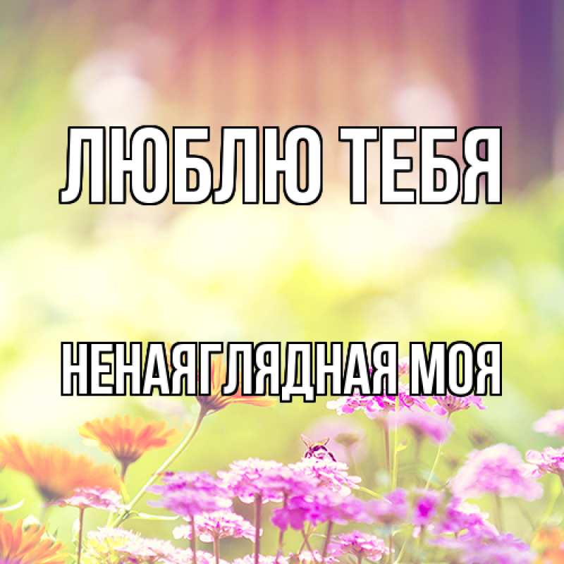 Картинка Люблю тебя, Ненаяглядная моя