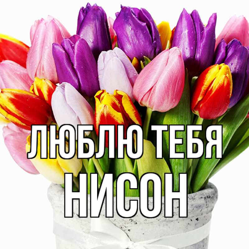 Открытка с именем, Нисон, Люблю тебя