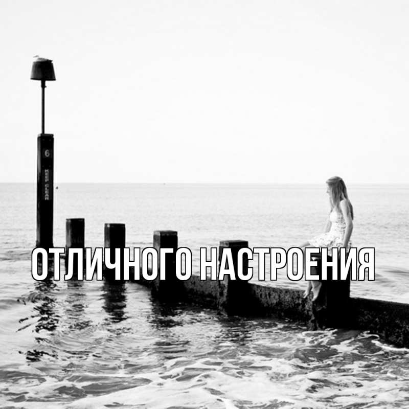 Картинка Скучашки, Песподобная