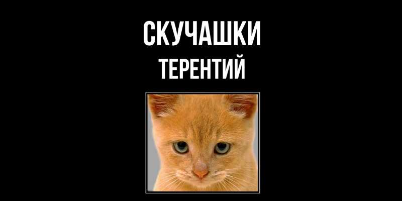 Картинка Скучашки, Терентий