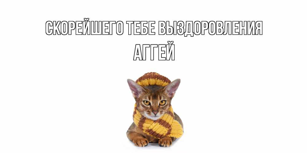 Открытка на каждый день с именем, Аггей Скорейшего тебе выздоровления родные не болейте Прикольная открытка с пожеланием онлайн скачать бесплатно 