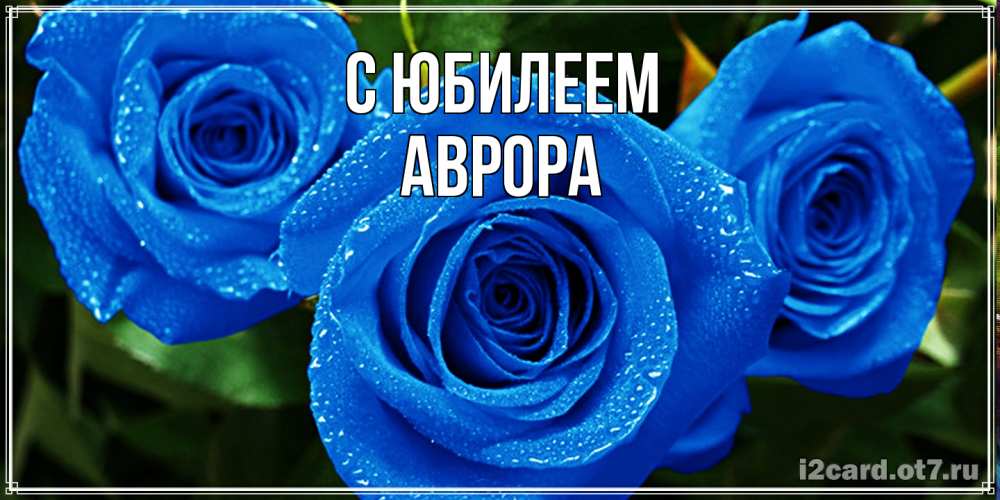 Открытка на каждый день с именем, Аврора C юбилеем розы с синим цветом Прикольная открытка с пожеланием онлайн скачать бесплатно 