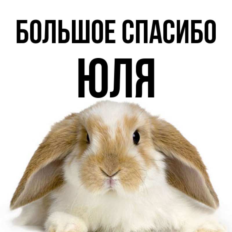 Картинка Большое спасибо, Юля