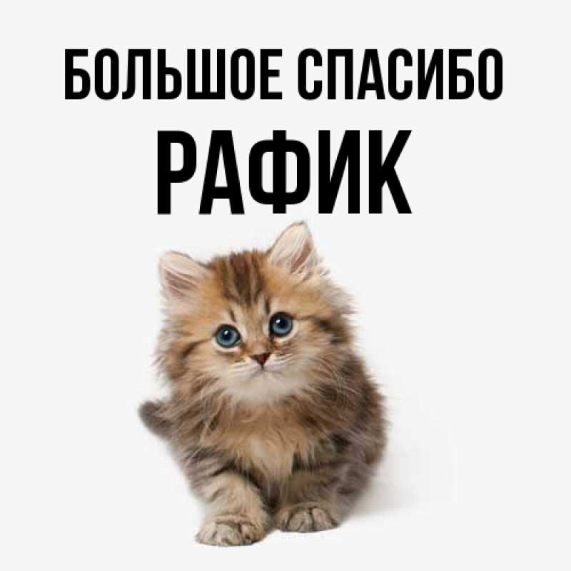 Картинка Большое спасибо, Рафик
