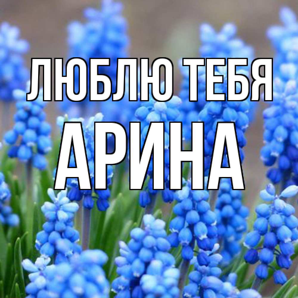 Открытка на каждый день с именем, Арина Люблю тебя Поздравительная открытка для женщин с цветами на праздничную дату Прикольная открытка с пожеланием онлайн скачать бесплатно 