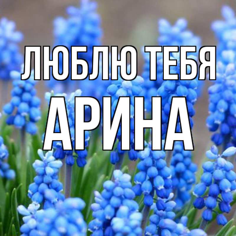 Картинка Люблю тебя, Арина