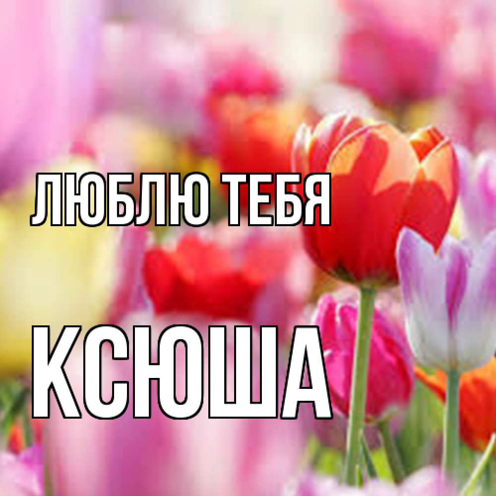 Открытка на каждый день с именем, Ксюша Люблю тебя на международный женский день 2 Прикольная открытка с пожеланием онлайн скачать бесплатно 