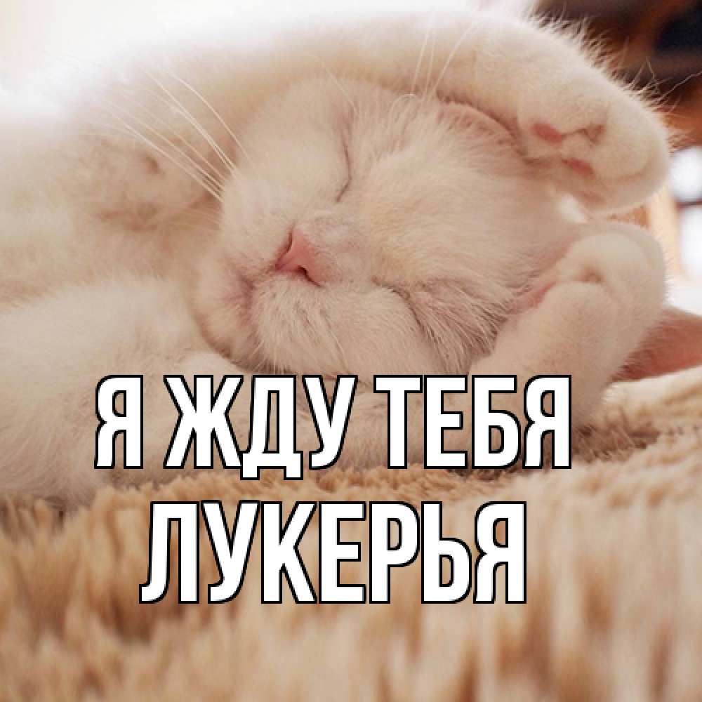 Открытка на каждый день с именем, Лукерья Я жду тебя для любимой девушки милота Прикольная открытка с пожеланием онлайн скачать бесплатно 