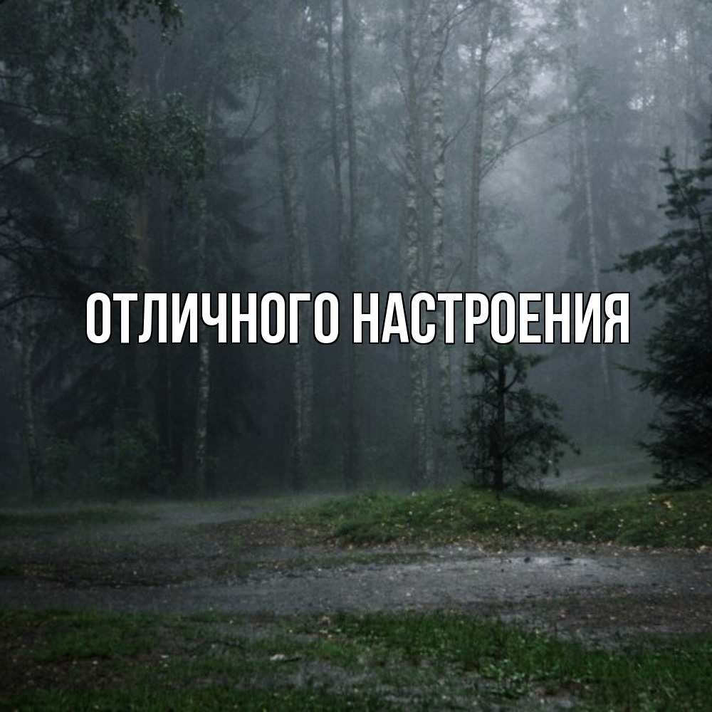 Открытка на каждый день с именем, Песподобная Скучашки одна и плохо мне Прикольная открытка с пожеланием онлайн скачать бесплатно 