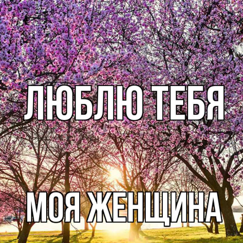 Картинка Люблю тебя, Моя женщина