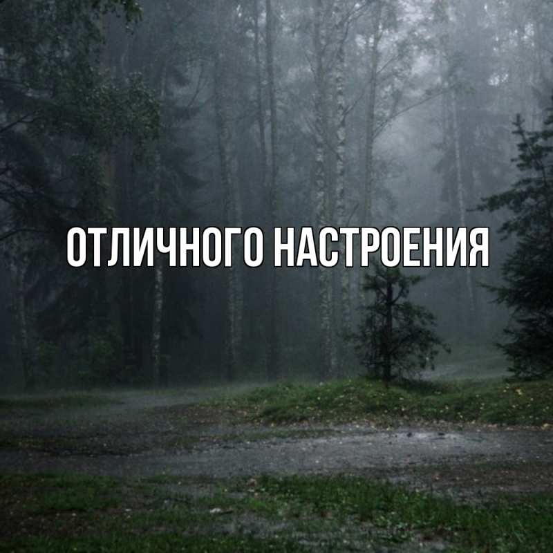 Картинка Скучашки, Песподобная