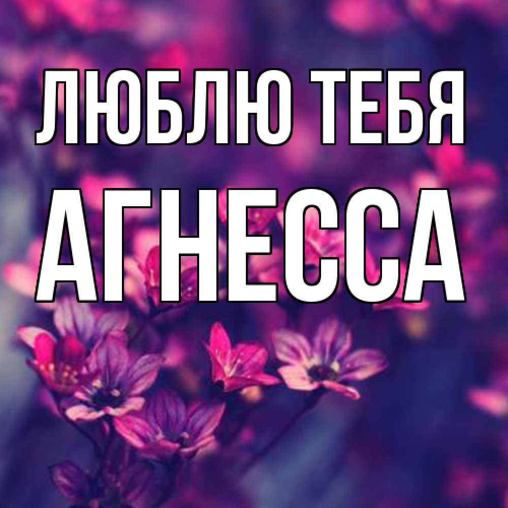Открытка на каждый день с именем, Агнесса Люблю тебя небольшие цветы 1 Прикольная открытка с пожеланием онлайн скачать бесплатно 