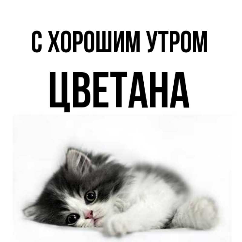 Картинка С хорошим утром, Цветана