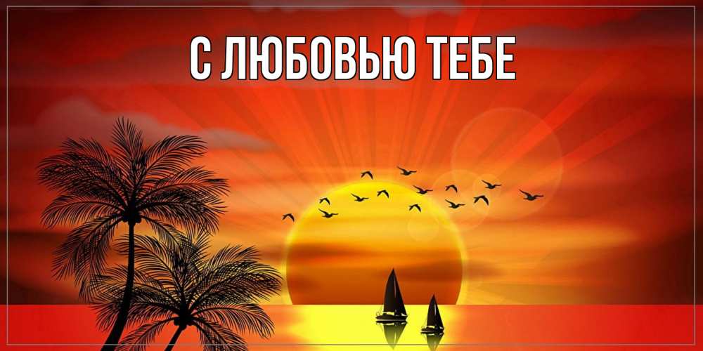 Открытка на каждый день с именем, Никон Как дела привет Прикольная открытка с пожеланием онлайн скачать бесплатно 