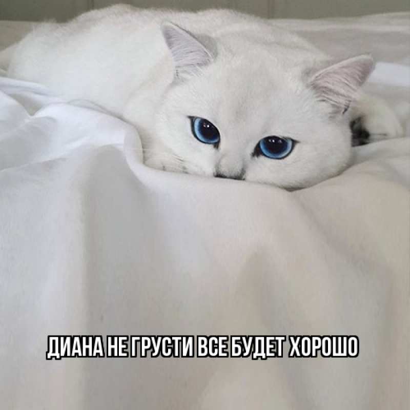 Открытка с именем, Диана, Не грусти все будет хорошо