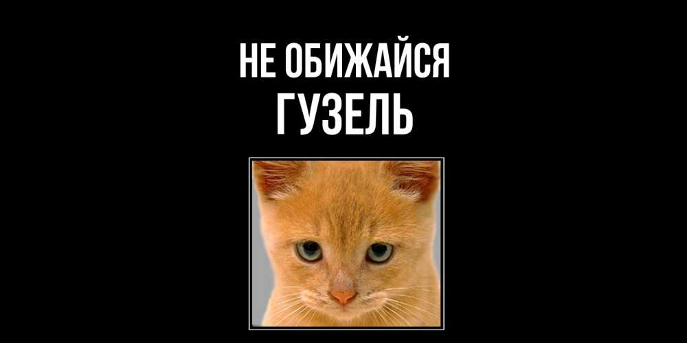 Открытка на каждый день с именем, Гузель Не обижайся рыжий грустный кот просит прощения Прикольная открытка с пожеланием онлайн скачать бесплатно 