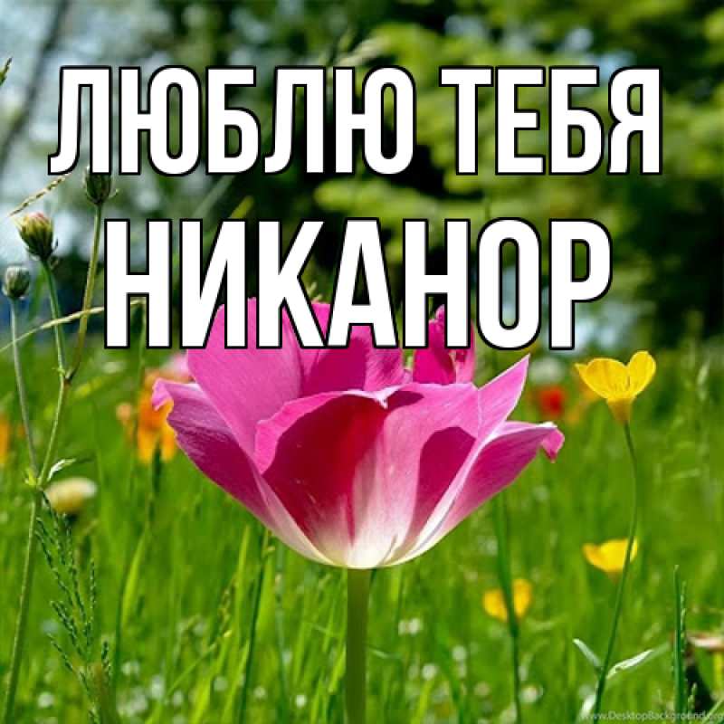 Картинка Люблю тебя, Никанор