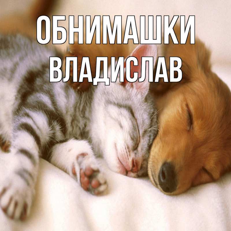 Картинка Обнимашки, Владислав