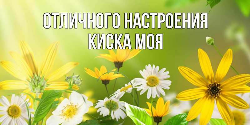 Картинка Отличного настроения, Киска моя