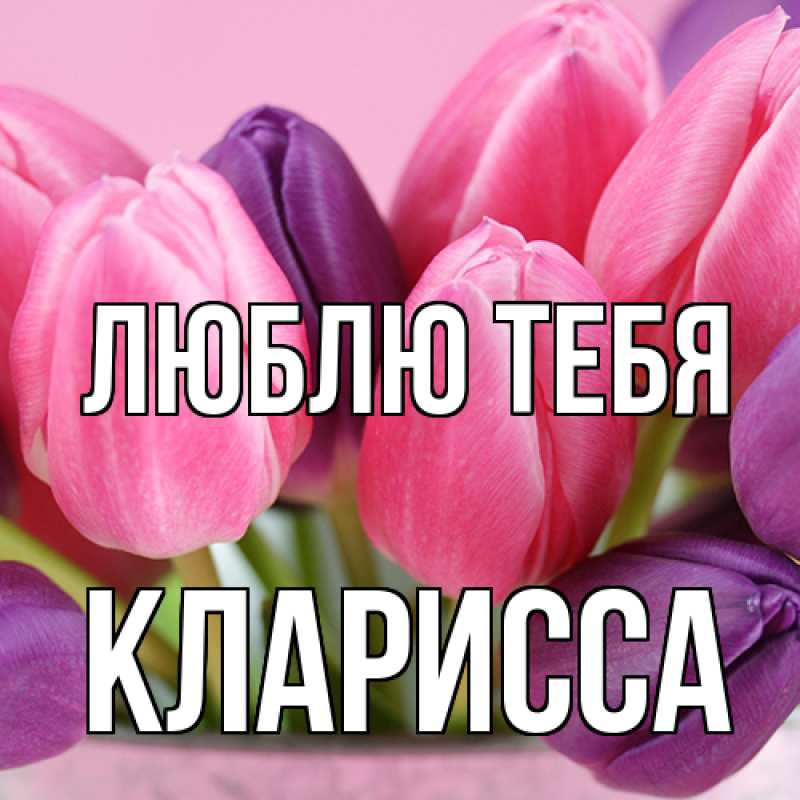 Картинка Люблю тебя, Кларисса
