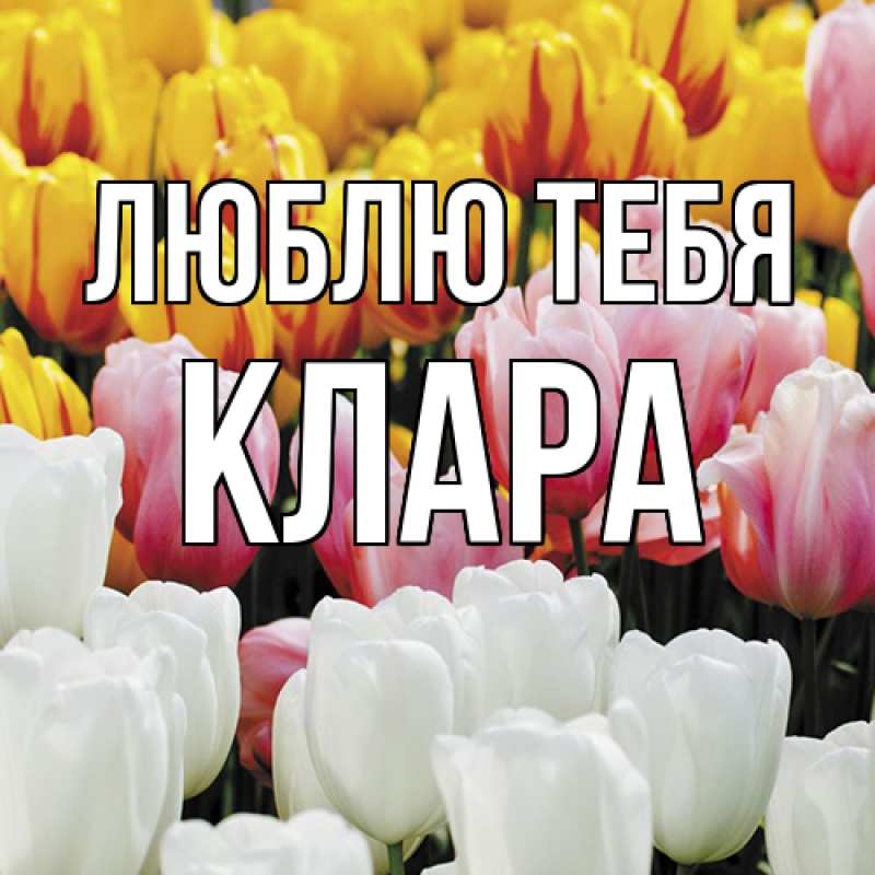 Картинка Люблю тебя, Клара