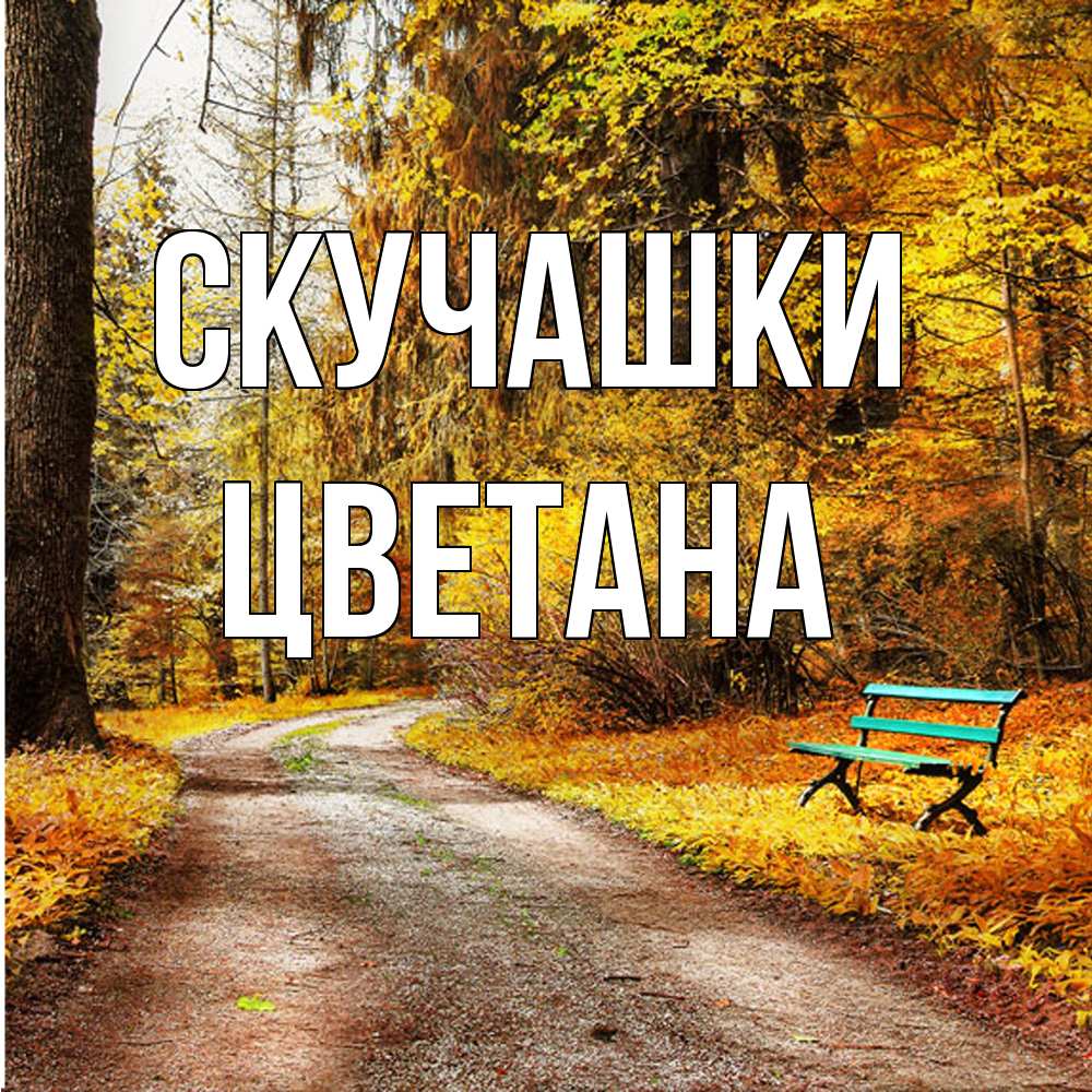 Открытка на каждый день с именем, Цветана Скучашки зеленая лавочка и осенний лес Прикольная открытка с пожеланием онлайн скачать бесплатно 