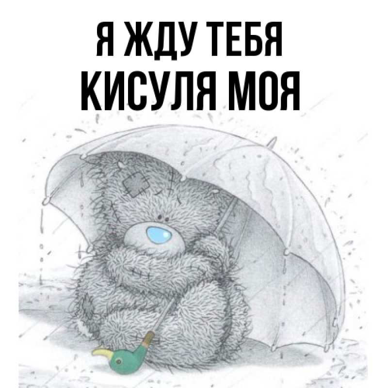 Картинка Я жду тебя, Кисуля моя