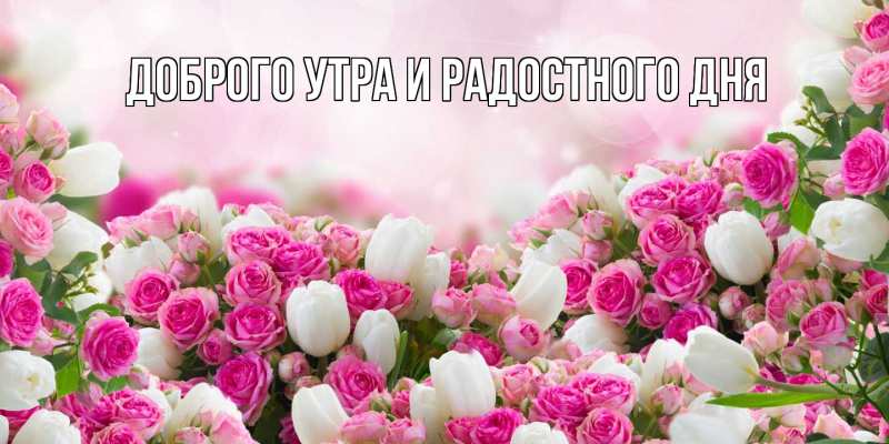 Открытка с именем, Султан, С днем всех влюбленных