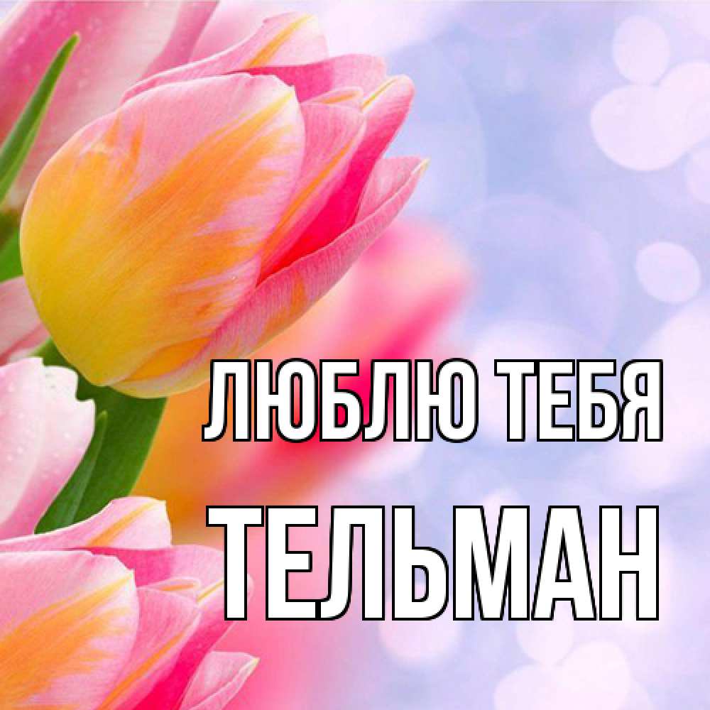 Открытка на каждый день с именем, Тельман Люблю тебя тюльпаны 2 Прикольная открытка с пожеланием онлайн скачать бесплатно 