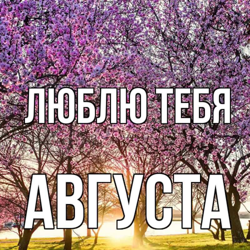 Картинка Люблю тебя, Августа