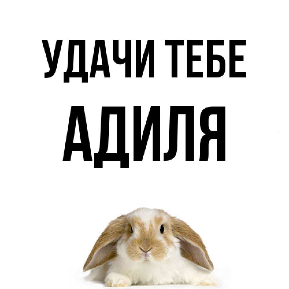 Открытка на каждый день с именем, Адиля Удачи тебе открытки с произвольным текстом который можно вставить в открытку и создать ее самостоятельно бесплатно онлайн Прикольная открытка с пожеланием онлайн скачать бесплатно 