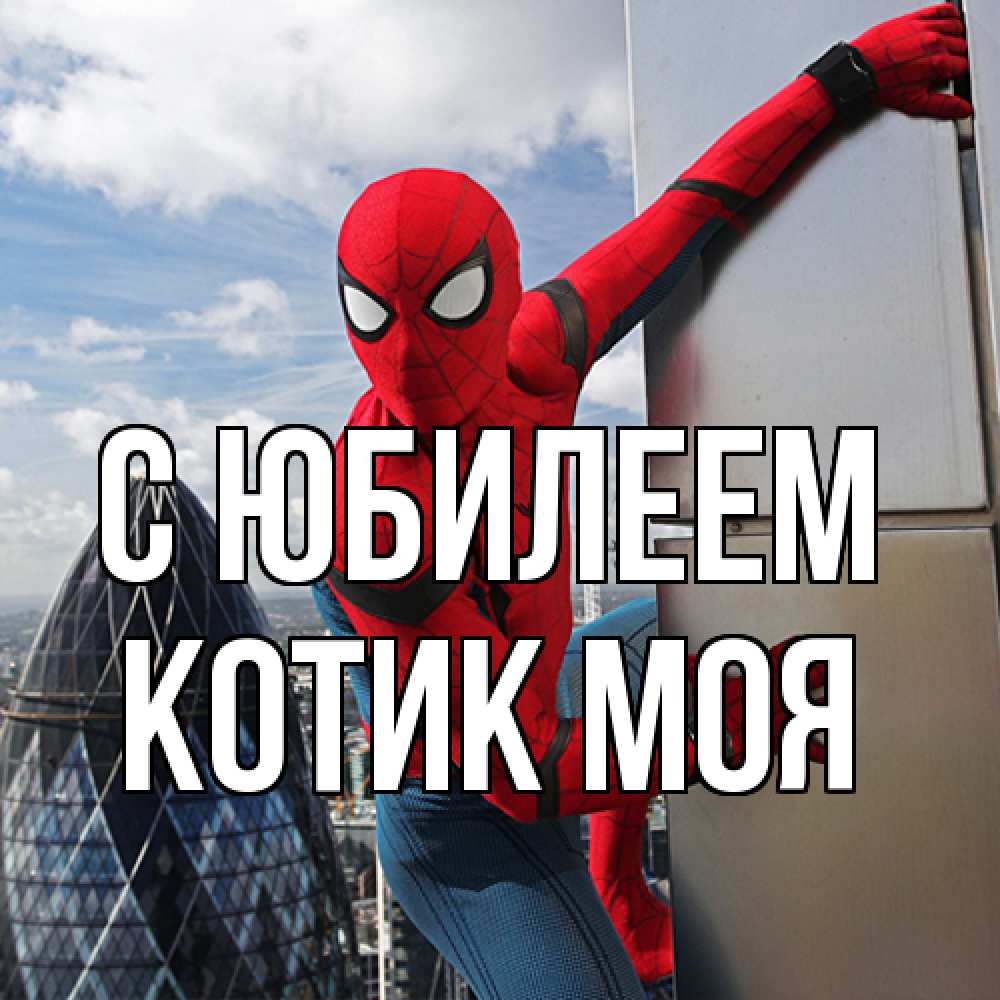 Открытка на каждый день с именем, Котик-моя C юбилеем Марвел Прикольная открытка с пожеланием онлайн скачать бесплатно 