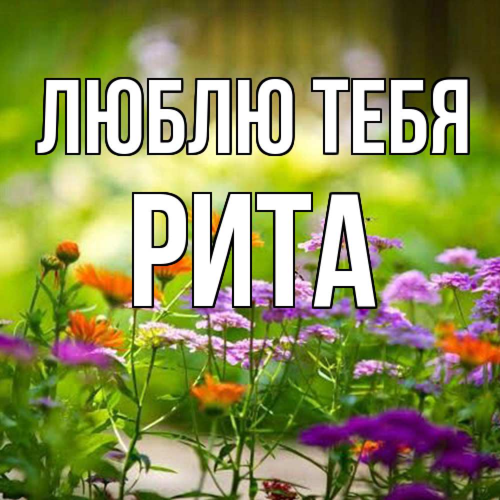 Открытка на каждый день с именем, Рита Люблю тебя цветы Прикольная открытка с пожеланием онлайн скачать бесплатно 