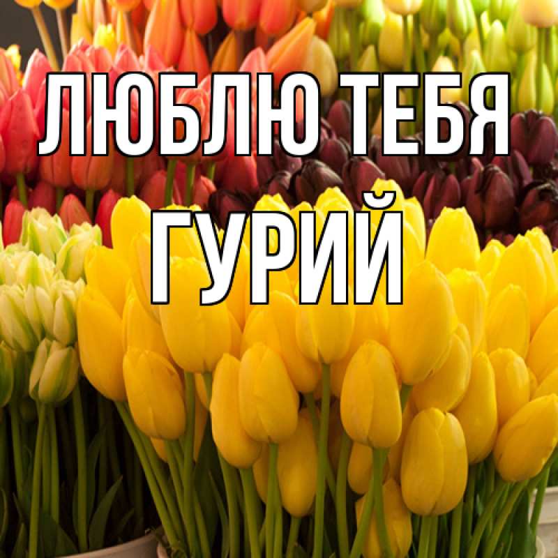 Открытка с именем, Гурий, Люблю тебя