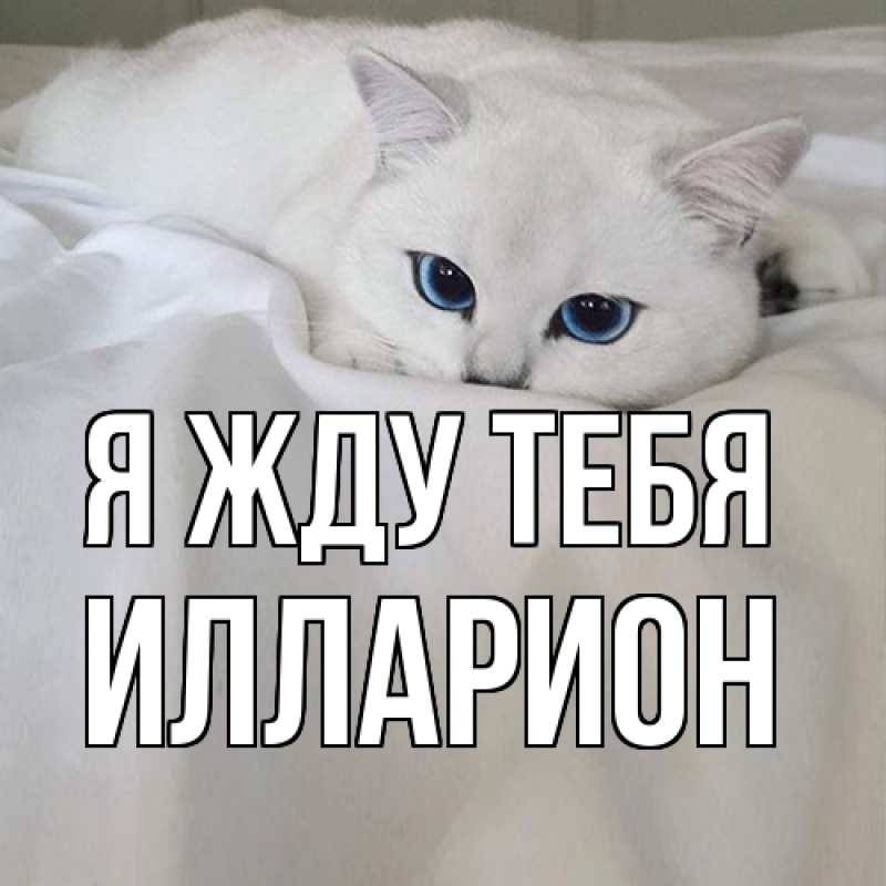 Открытка с именем, Илларион, Я жду тебя