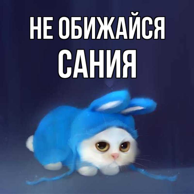 Картинка Не обижайся, Сания