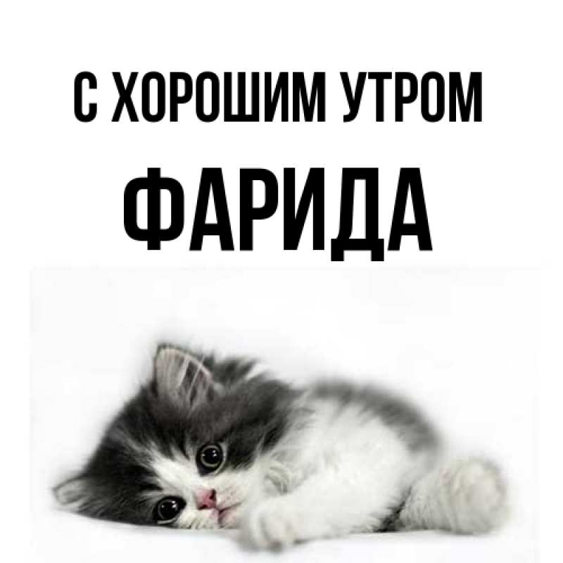 Картинка С хорошим утром, Фарида