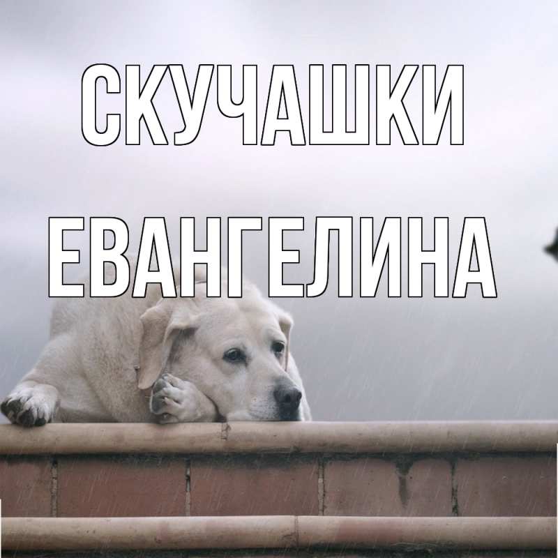 Картинка Скучашки, Евангелина