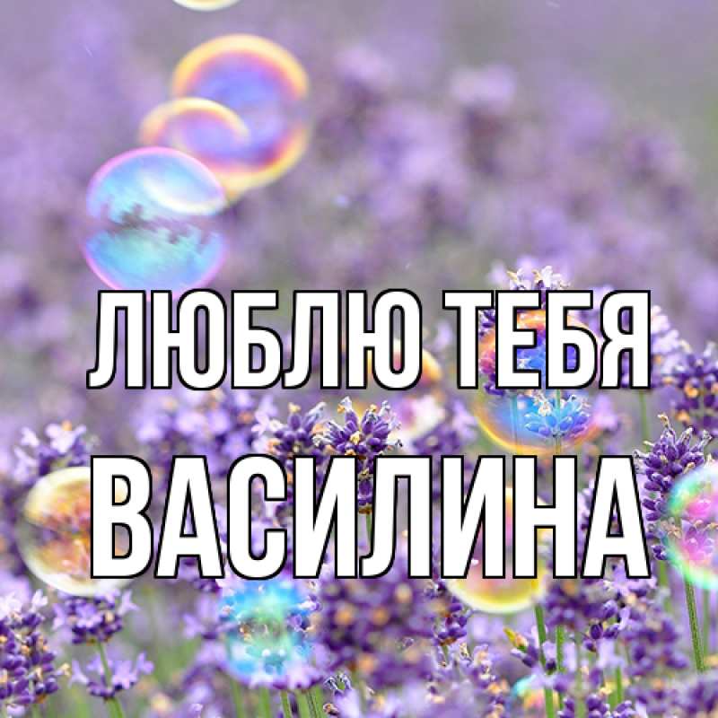 Картинка Люблю тебя, Василина