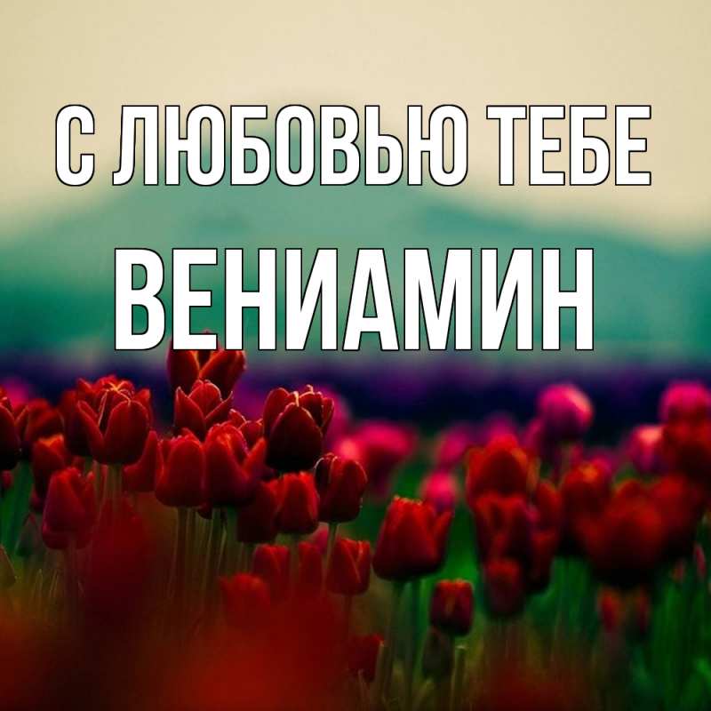Картинка С любовью тебе, Вениамин