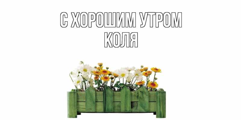 Картинка С хорошим утром, Коля