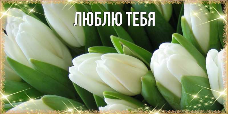Открытка с именем, открытка бесплатно, Люблю тебя