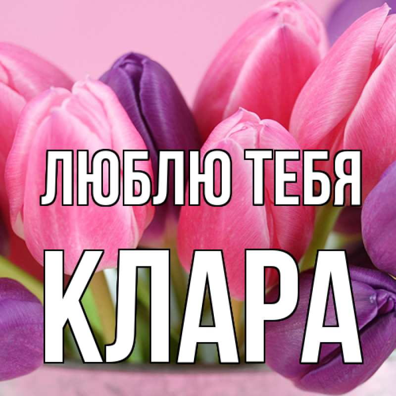 Картинка Люблю тебя, Клара