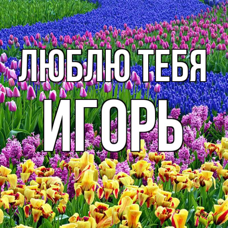 Открытка с именем, Игорь, Люблю тебя