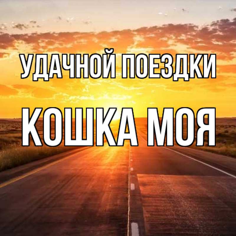 Картинка Удачной поездки, Кошка моя