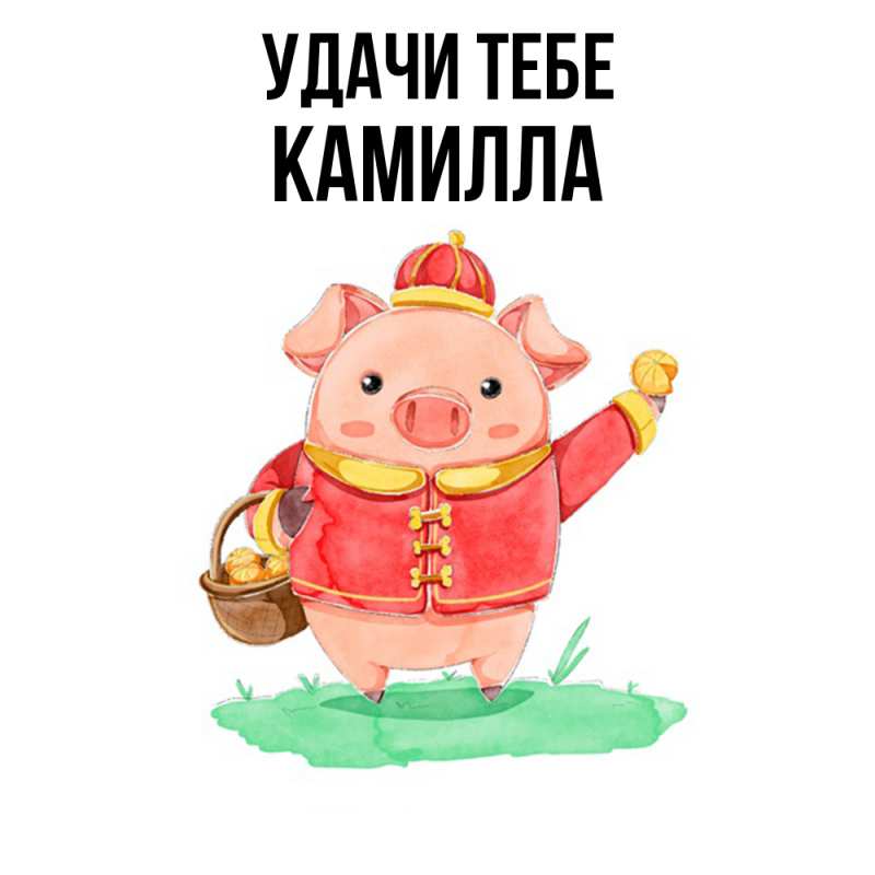 Картинка Удачи тебе, Камилла