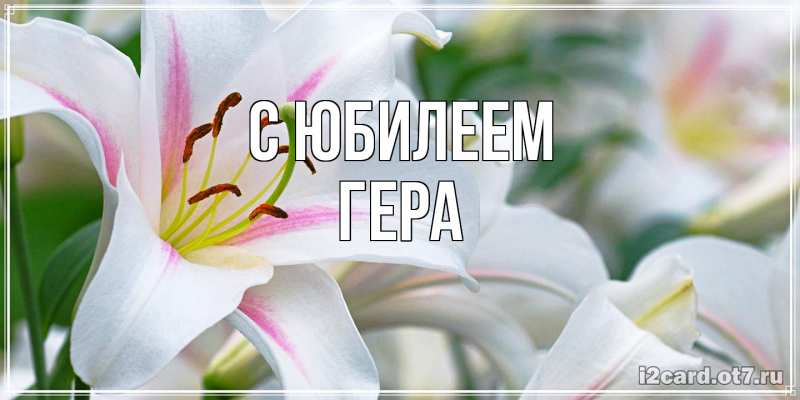 Открытка с именем, Гера, C юбилеем