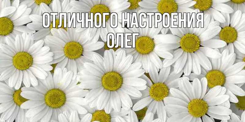 Картинка Отличного настроения, Олег