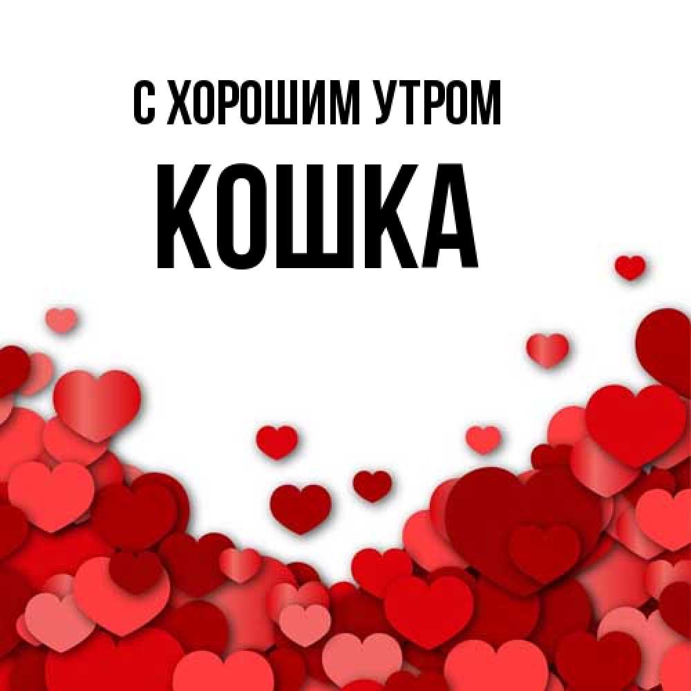 Открытка на каждый день с именем, Кошка С хорошим утром хорошего настроения Прикольная открытка с пожеланием онлайн скачать бесплатно 