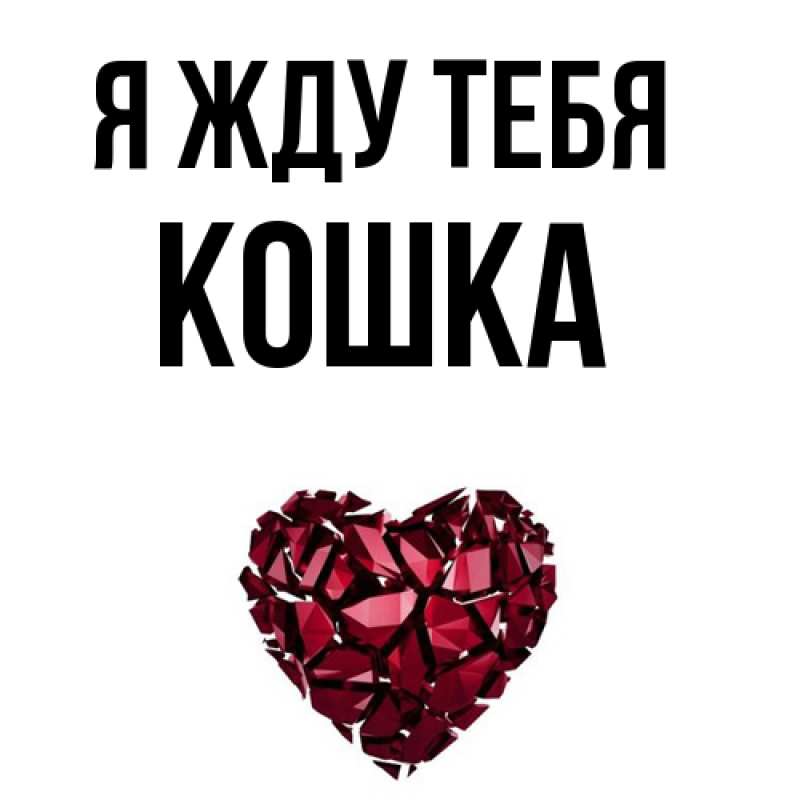Открытка с именем, Кошка, Я жду тебя